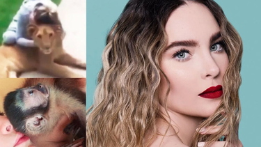 piden 20 anos de carcel a belinda por coleccionar animales exoticos