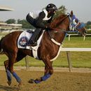 Il Miracolo entrena de cara al Belmont Stakes, la última fecha de la Triple Corona del hipismo, el viernes 9 de junio de 2023, en Belmont Park, en Elmont, Nueva York. (AP Foto/John Minchillo)