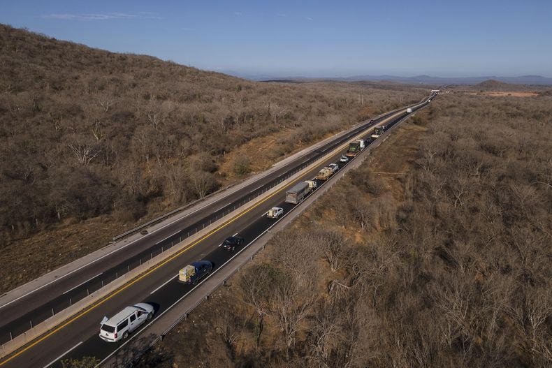 Personal del santuario Ostok transporta a diversos animales en camiones hacia la ciudad de Mazatlán, en el estado mexicano de Sinaloa, desde el refugio situado en Culiacán, también en Sinaloa, el martes 20 de mayo de 2025. (AP Foto/Félix Márquez)