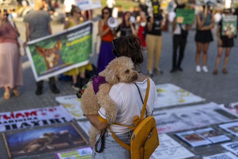 Una persona con su perro en medio de una manifestación a favor de los derechos de los animales en Estambul, Turquía, el 27 de junio del 2024. (AP foto/Francisco Seco)