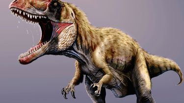 americateve | Reproducci&oacute;n art&iacute;stica sin fecha provista por el museo Field, de un dinosaurio recientemente descubierto, llamado Siats meekerorum. Los investigadores descubrieron el f&oacute;sil de este depredador gigante de hace 100 millones de a&ntilde;o