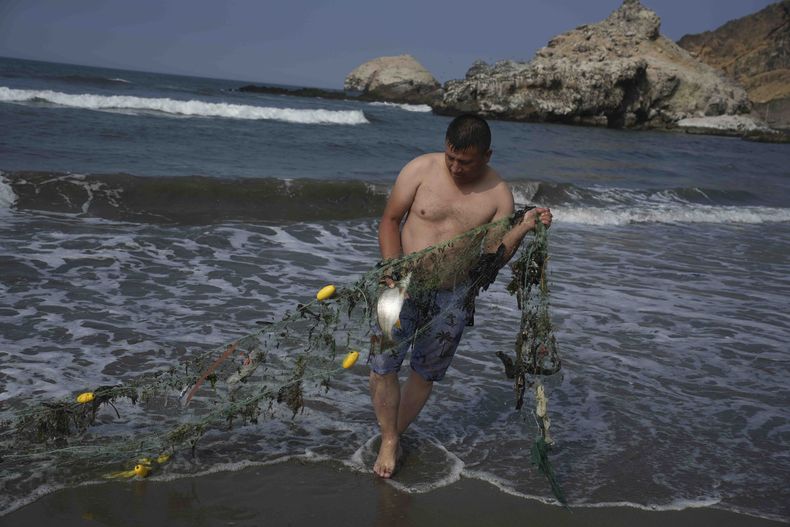 El pescador Ronal Astolingon recupera un pez y basura de su net en Ventanilla, Perú, el lunes 15 de enero de 2024. Dos días después de lo que las autoridades consideran el peor derrame de petróleo en la historia de Perú, las playas siguen cerradas para los turistas y y el sustento de los pescadores está destruido. (AP Foto/Guadalupe Pardo)