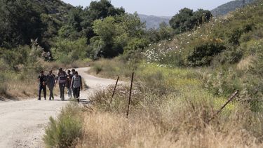 ARCHIVO - Migrantes de la India que desean solicitar asilo caminan hacia una zona de espera antes de ser trasladados y procesados, el miércoles 5 de junio de 2024, cerca de Dulzura, California. (AP Foto/Gregory Bull, Archivo)