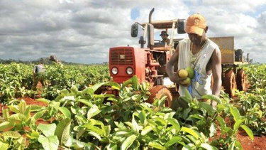 cuba cobrara impuestos a partir de 2018 sobre posesion y uso de tierras