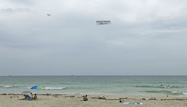 AMN-MED_ZIKA-FLORIDA-1.jpg