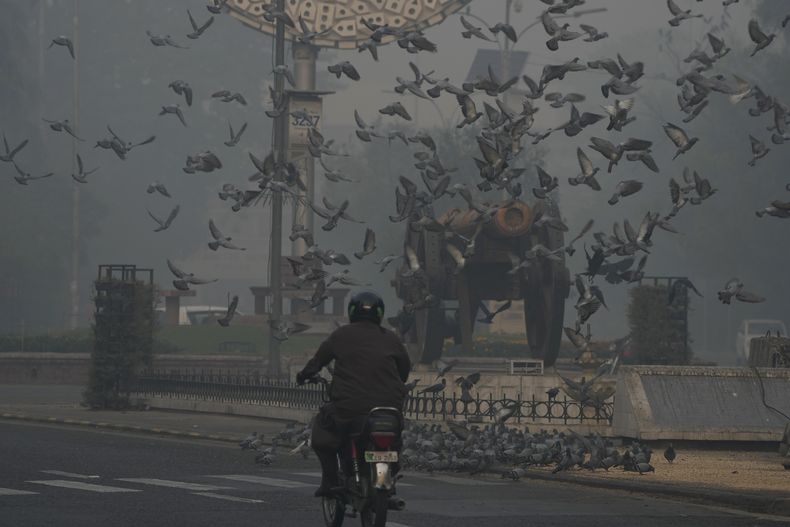 Palomas vuelan en medio de un denso smog en Lahore, Pakistán, el domingo 3 de noviembre de 2024. (AP Foto/K.M. Chaudary)