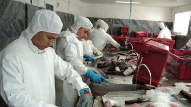 sin carne, pero con claria