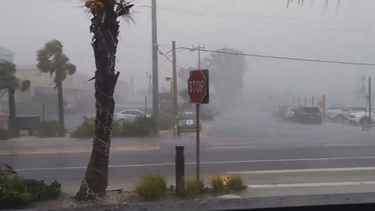 tormenta tropical colin  provoca grandes estragos en el sur de georgia y norte de la florida