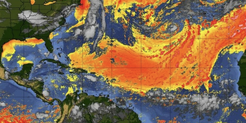 Screenshot 2023-07-21 at 10.12.24 AM.png