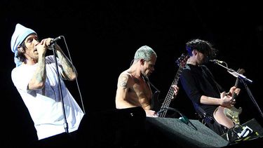red hot chili peppers quiere dar un concierto en cuba