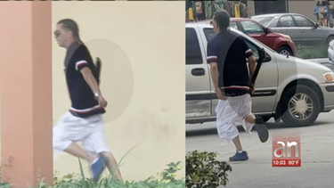arrestan a  responsables de asaltar tienda de celulares en pulguero de miami con machete