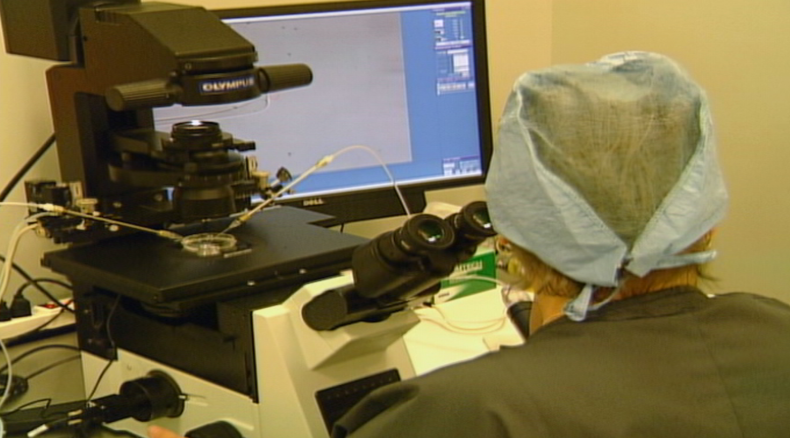 CONGELACION DE OVULOS.png