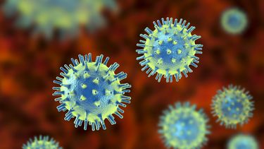 la pandemia de coronavirus suma 13.608 muertos y mas de 693.000 casos nuevos en el ultimo dia