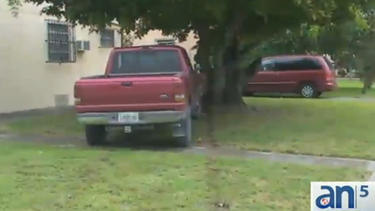 americateve | Un mítico árbol se ha convertido en una suerte de barrera protectora para una familia de Hialeah, que ha sido testigo de violentos accidentes que terminan en su propiedad.