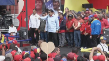 gallinas ponedoras y vacas lecheras, la nueva propuesta de maduro para combatir el hambre