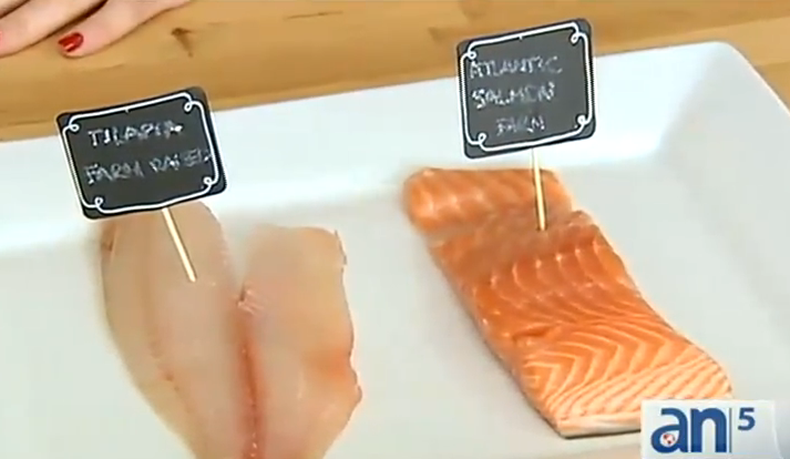 Comer pescado puede ser muy beneficioso por sus nutrientes como el omega 3 o la vitamina B. Pero a la vez algunos pescados pueden ser dañinos a la salud por sus contaminantes.