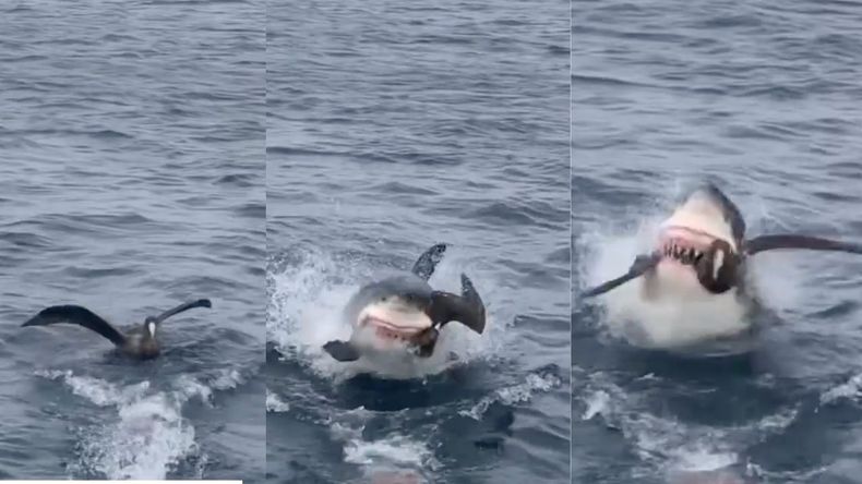 America 2Night (7).jpg