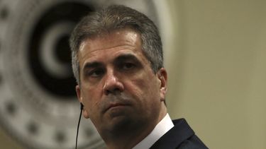 Canciller israelí visita Ucrania, no promete envío de armas