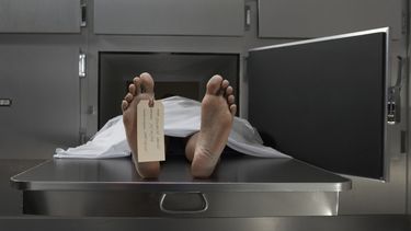 86 cadaveres sin reclamar en el icf