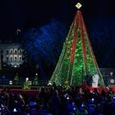 Trump enciende las luces del Árbol Nacional de Navidad