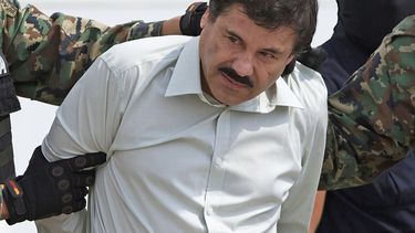 el chapo presenta argumentos en apelacion a su condena