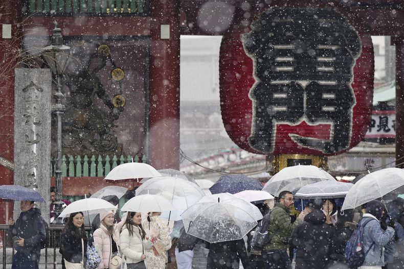 Un grupo de personas visita el templo Sensoji, en el distrito de Asakusa en Tokio, en plena nevada el lunes 5 de febrero de 2024. (Kyodo News vía AP)