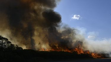 Argentina: incendios afectan 14 provincias por larga sequía