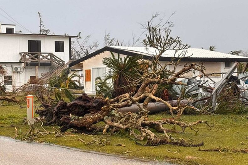 Esta fotografía cortesía de Mathew Masga muestra un árbol arrancado de raíz por el paso de un supertifón, el jueves 16 de abril de 2026, en Tinian, Islas Marianas del Norte. (Mathew Masga vía AP)