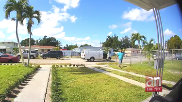 captados en camara quedaron dos robos ocurridos en menos de 24 horas en viviendas de miami