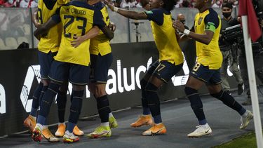 Alfaro dice que Ecuador no especulará ante Paraguay