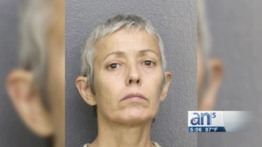 la dejaron fuera de la herencia y golpeo hasta la muerte a su madre en ford lauderdale