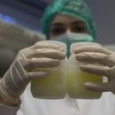 Producción de leche en Cuba, va de mal en peor