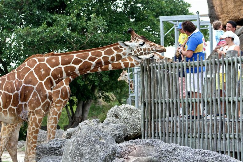zoo Miami