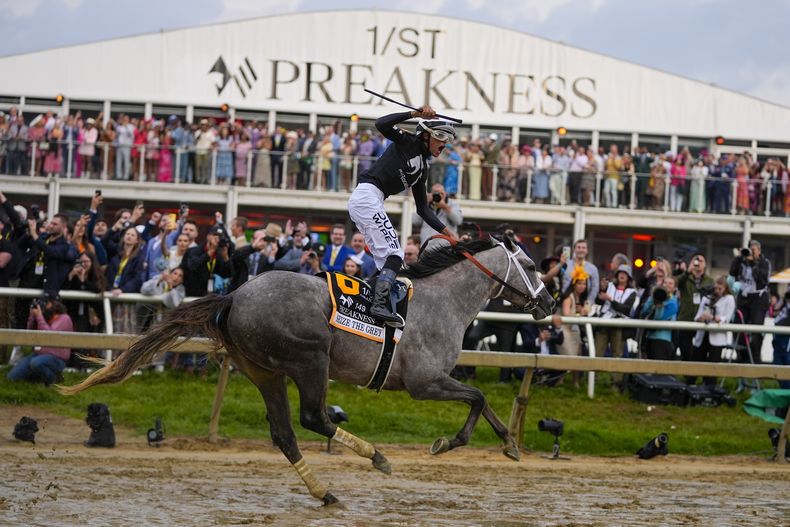 El boricua Jaime Torres monta a Seize The Grey al ganar Preakness STakes, el sábado 18 de mayo de 2024, en Baltimore (AP Foto/Julio Cortez)