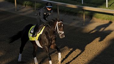 En foto del miércoles 3 de mayo del 2023, la potranca Forte realiza un entrenamiento en Churchill Downs antes del Derby de Kentucky. El sábado 6 de mayo del 2023, horas antes del Derby descartan a Forte, quien era favorita a ganar. (AP Foto/Charlie Riedel)