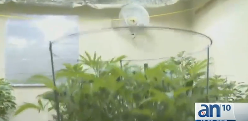 En el operativo la policía arrestó a 11 personas, nueve cubanos y dos norteamericanos, uno de los acusados vivía en esta casa y era supervisor de una empresa.