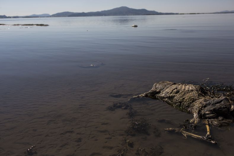 REP-GEN_TITICACA-CONTAMINACION-0.jpg