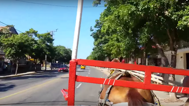 [video] un paseo por varadero desde un coche de caballos