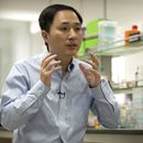 Investigan en China a científico en edición genética humana