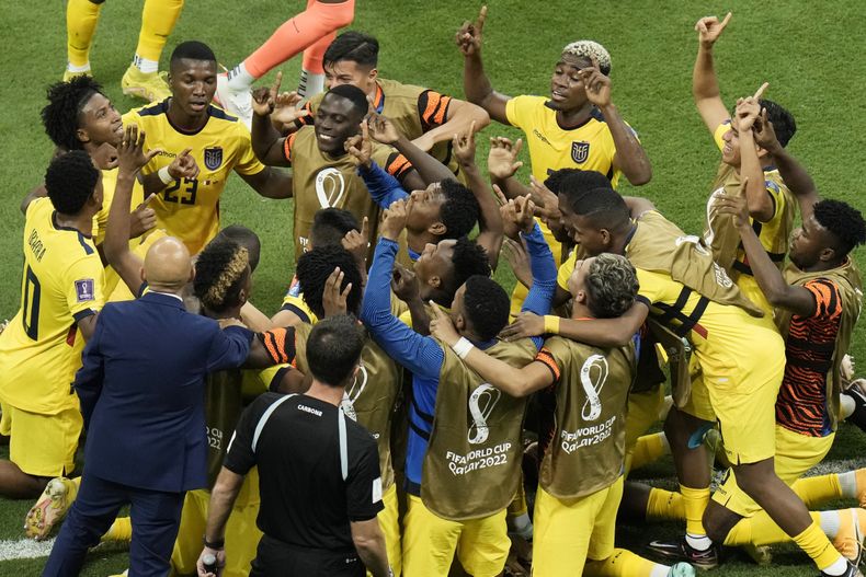 DEP-FUT MUNDIAL ECUADOR-ALFARO