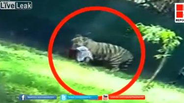 americateve | "Sufrió durante 10 o 15 minutos y nadie lo ayudó", afirmó un testigo. La tragedia sucedió en Nueva Delhi. Las imágenes pueden herir su sensibilidad