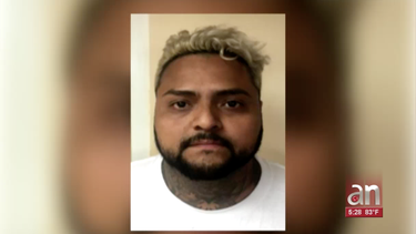 capturan a responsable de varios robos en hialeah