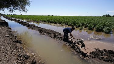 Río Colorado lleva cada vez menos agua al noroeste de México