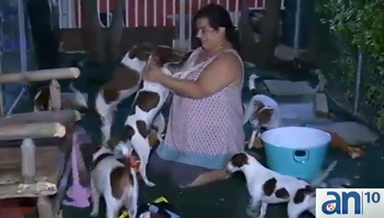 Esta familia tiene en su casa más de una decena de perros.