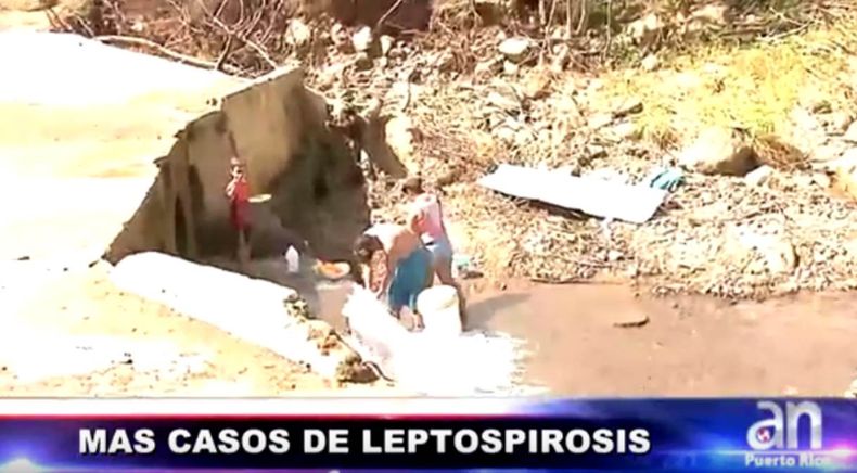 Breve Mas Casos de Leptospirosis.jpg