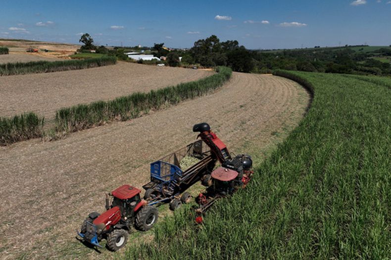 Un tractor en medio de la cosecha de caña de azúcar en la Granja Bom Retiro en Artur Nogueira, Brasil, el 24 de marzo del 2026. (AP foto/Andre Penner)