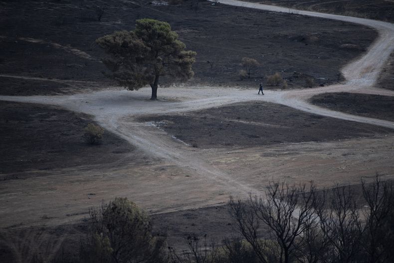 Un bombero recorre una zona quemada por los incendios forestales en Parnitha, en el noroeste de Atenas, Grecia, el 27 de agosto de 2023. (Foto AP/Michael Varaklas)
