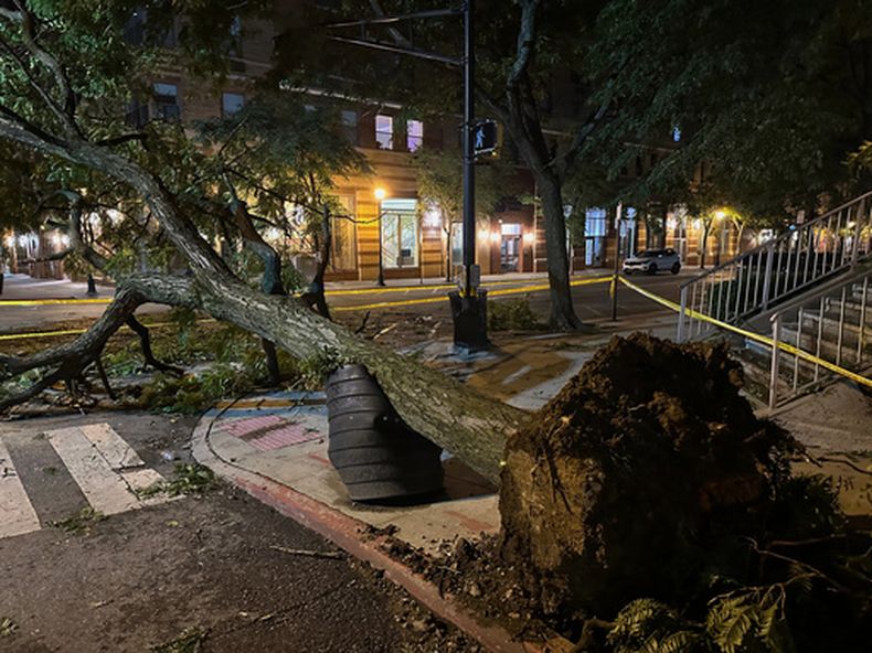 Un árbol arrancado de raíz por una fuerte tormenta aparece rodeado de cinta policial en Hoboken, Nueva Jersey, la madrugada del sábado 4 de julio de 2026. (Foto AP/Larry Neumeister)