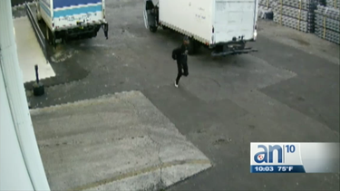 policia de miami tras la busqueda de los 4 responsables del robo a una tienda de suministros electricos