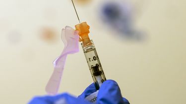 EEUU: Pfizer puede solicitar licencia para vacuna para niños